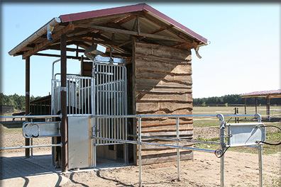 Aktivstall Fütterungsanlage